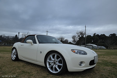 _DSC1238tj