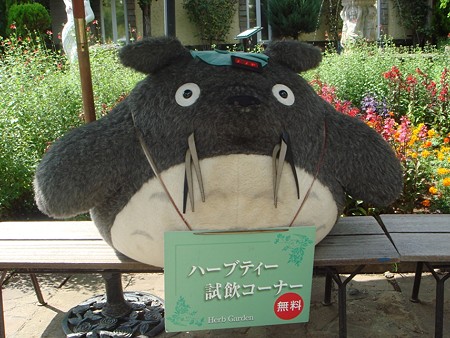 DSC03377