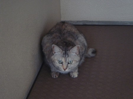 DSC01200