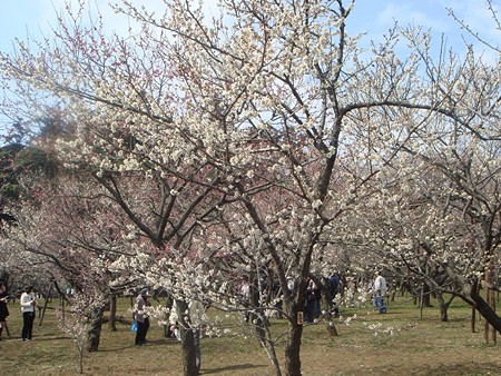 DSC02178