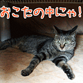090303-【猫アニメ】それぞれのぽかぽかにゃ！