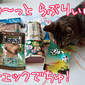 090322-【猫アニメ】はぴらぶチェックにゃ！