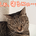 090415-【猫アニメ】マックくん、不調にゃ～