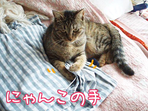 090420-【猫アニメ】にゃんこの手、出動にゃ！