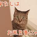 090420-【猫アニメ】にゃんこの手、出動にゃ！