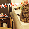 090425-【猫アニメ】おかえり、iMacくんにゃ！