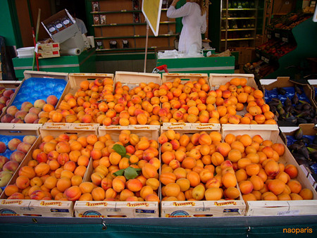 P1600808_marked