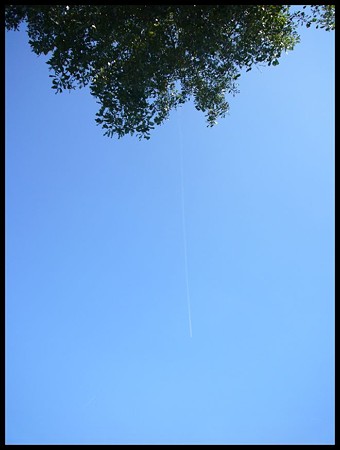 P1690780