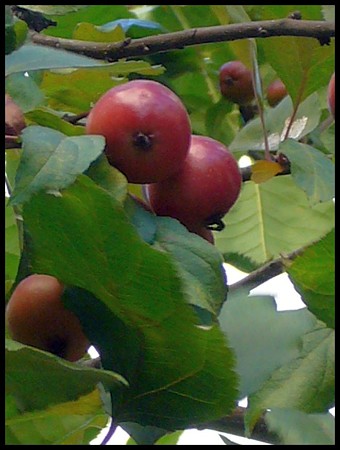 P1740002