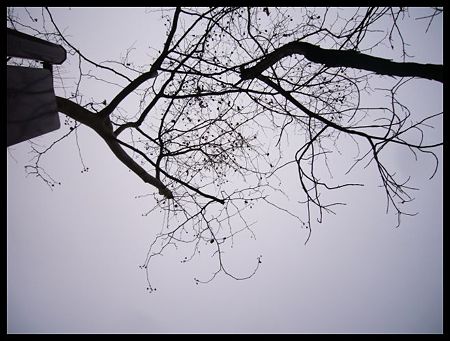 P1860092
