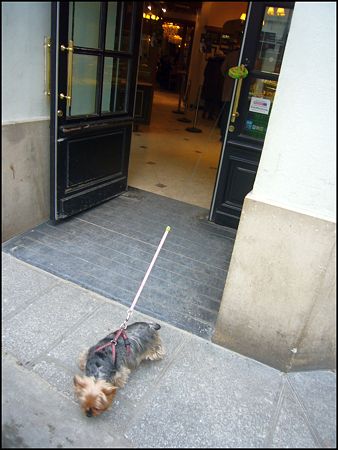 P1930507