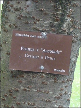 P1940431