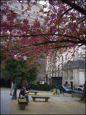 P1950421