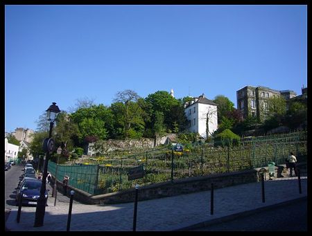 P1980481