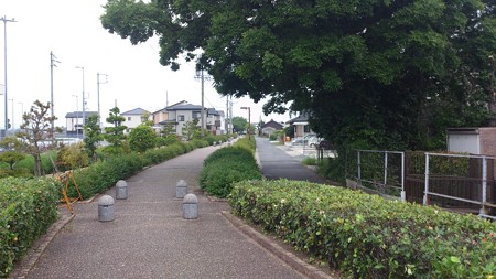14052009_明治用水遊歩道