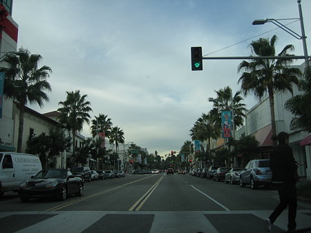 20081206_341
