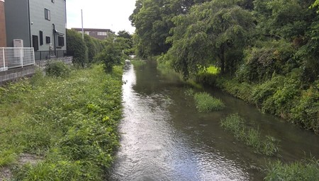 ゆったりとした流れの用水路