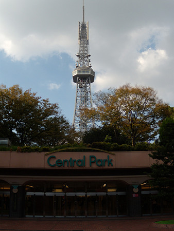 セントラルパークとテレビ塔