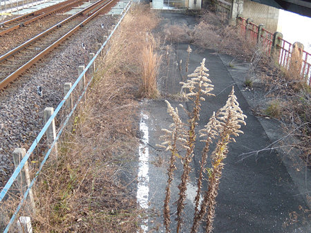 犬山橋に残る共用時代の跡