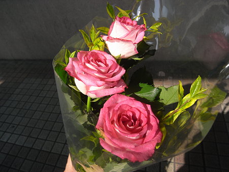 持ってきた花