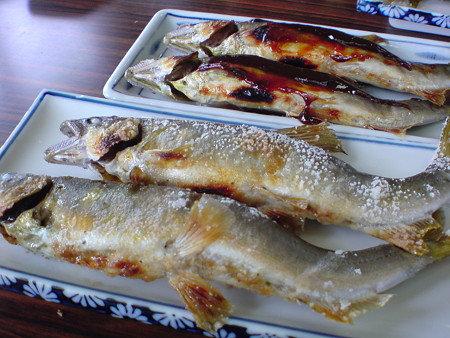 DSC00252