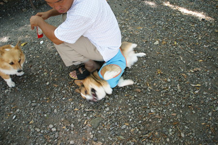 DSC01268