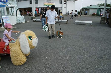 DSC01790
