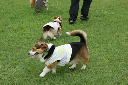 DSC02330