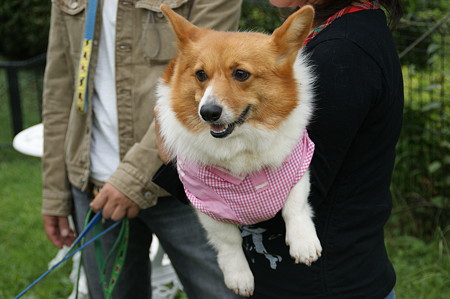 DSC02432