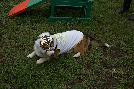 DSC02457