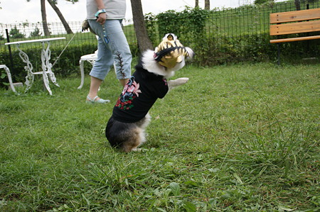 DSC02465