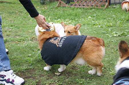 DSC02476