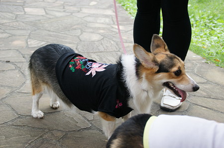 DSC02488