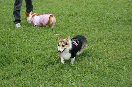 DSC02541