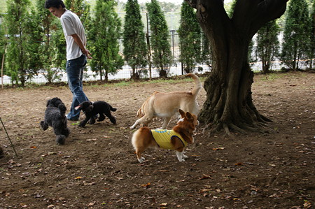DSC02631