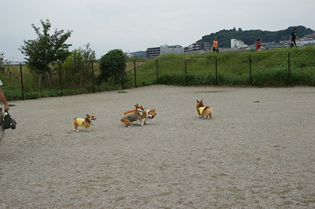 DSC02721