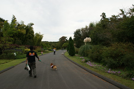 DSC02977