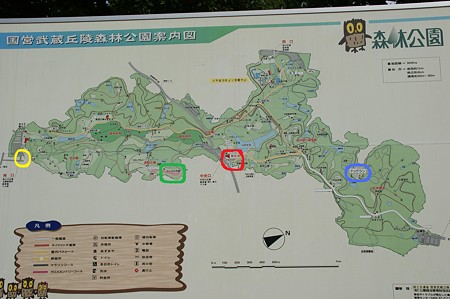 DSC02944