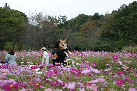 DSC03150