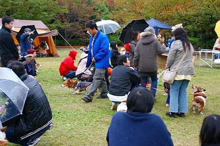 DSC04257