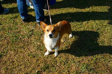 DSC04469