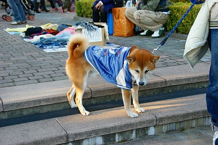 DSC04512