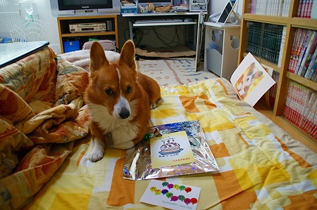 DSC05061