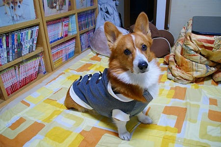 DSC05084