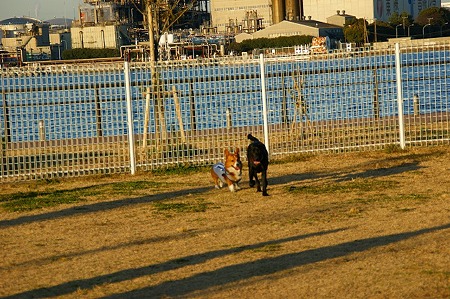 DSC05933