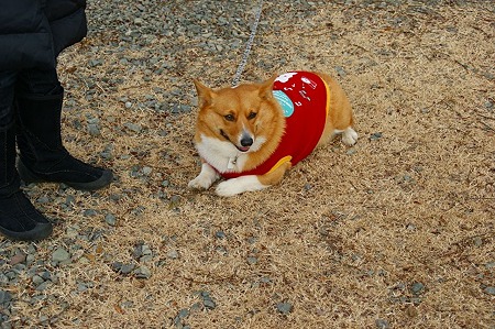 DSC06169