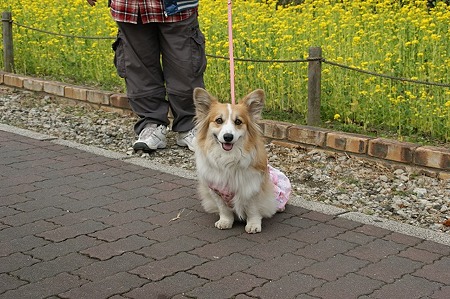 DSC06677