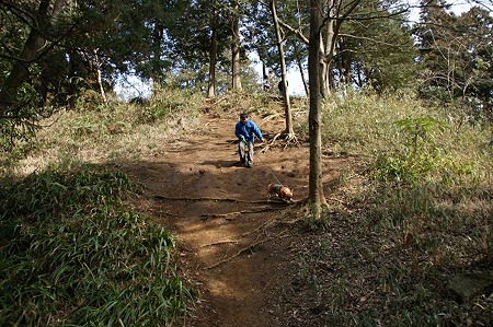 DSC06864