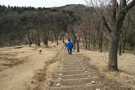 DSC06897