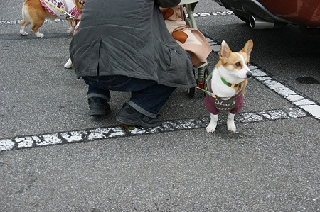 DSC07205